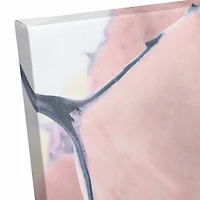 Succulent 20" x 16" Canvas Wall Art