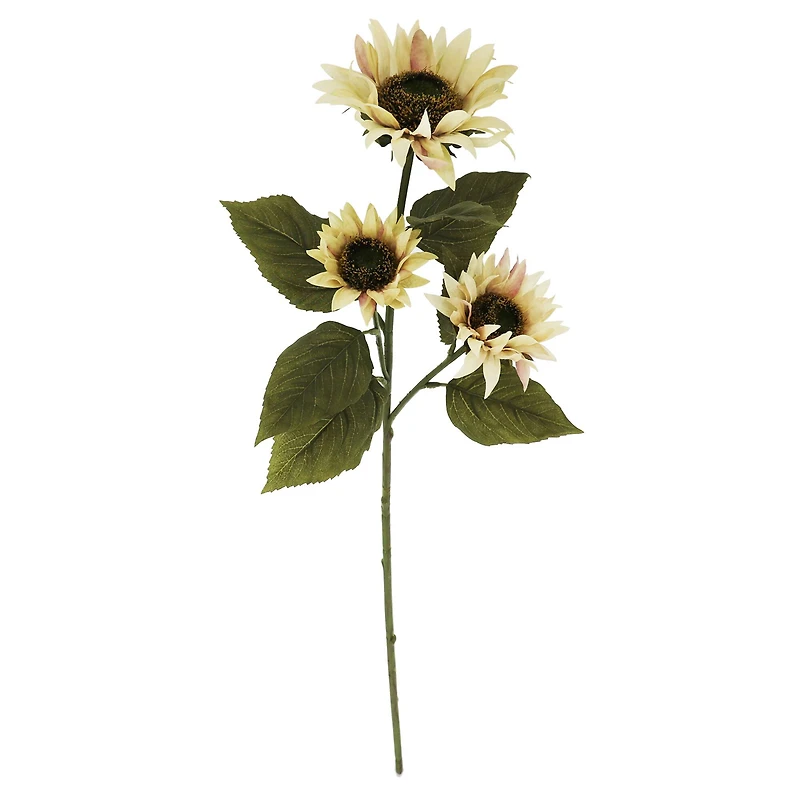 29" Cream Sunflower Stem by Ashland®