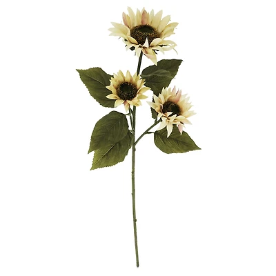 29" Cream Sunflower Stem by Ashland®