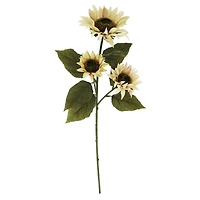 29" Cream Sunflower Stem by Ashland®