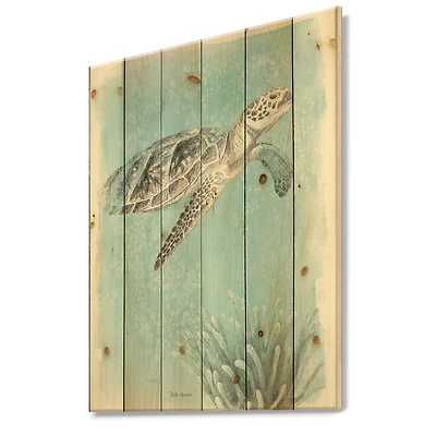 Designart - Coastal Sea Life I Turtle sketches