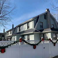 50ft. Commercial Length Artificial Canadian Pine Garland