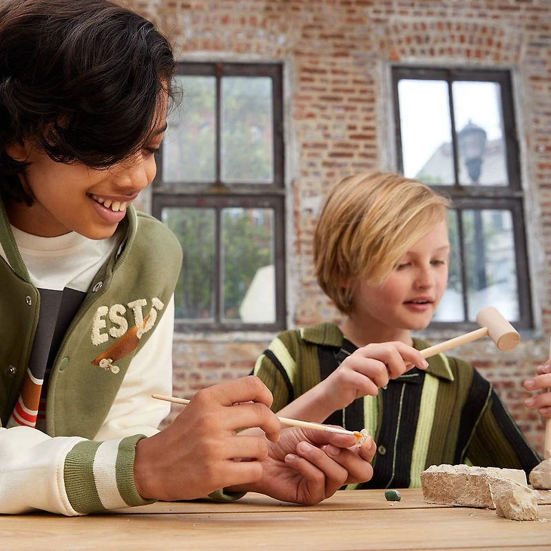 BBC Earth Excavate & Discover Gemstone Dig