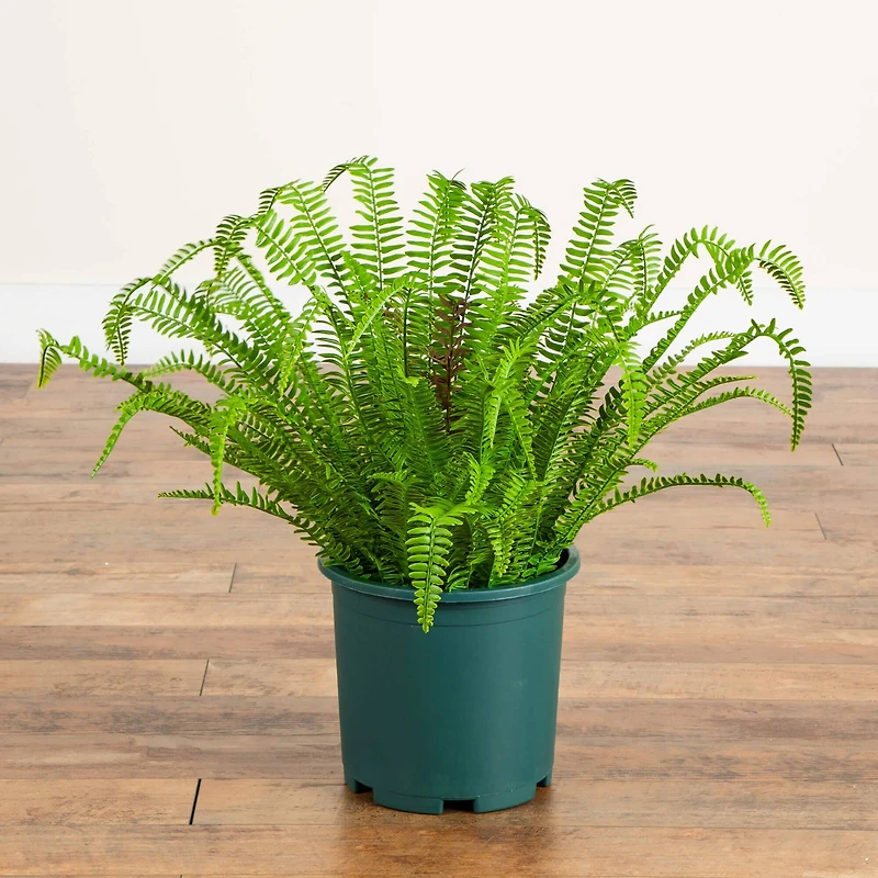 27in. UV Resistant Artificial Boston Fern Plant with Real Touch Leaves (Indoor/Outdoor)