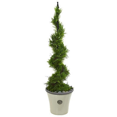 4.5ft. Cypress Spiral Topiary Tree in Decorative Planter