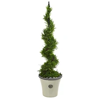 4.5ft. Cypress Spiral Topiary Tree in Decorative Planter