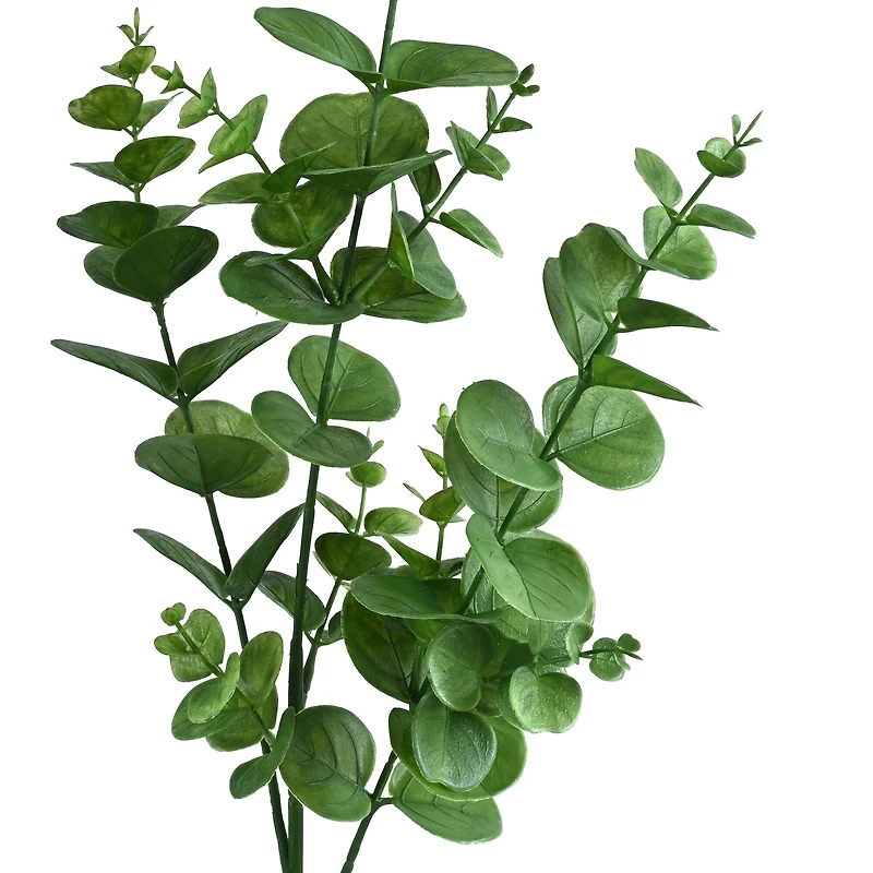 32" Dark Green Eucalyptus Stem by Ashland®