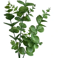 32" Dark Green Eucalyptus Stem by Ashland®