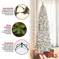 9ft. Pre-Lit Acacia Flocked Artificial Christmas Tree, Clear Lights