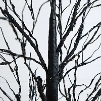 7ft. Pre-Lit Halloween Black Twig Artificial Tree with 390 Orange & Purple LED Lights