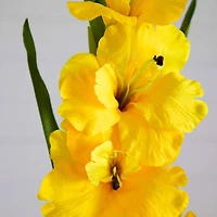 45" Yellow Gladiolus Flower Stems, 3ct.
