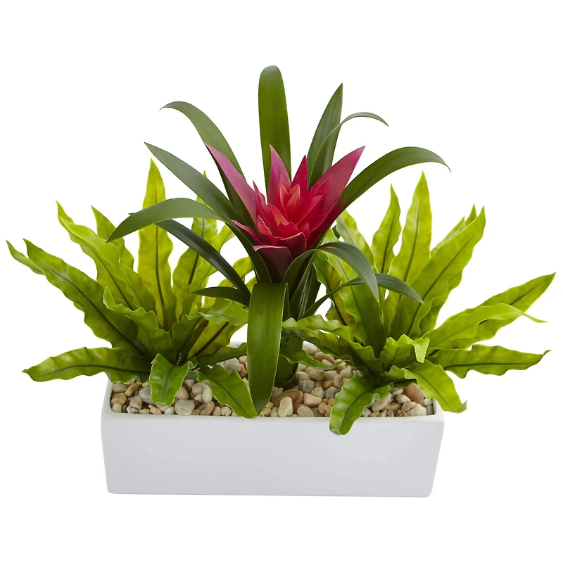 14" Bromeliad & Birds Nest Arrangement in Rectangular Planter