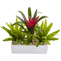 14" Bromeliad & Birds Nest Arrangement in Rectangular Planter
