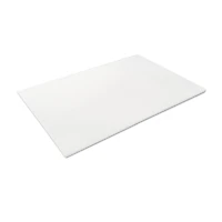 12" x 18" Thick Foam Sheet by Creatology