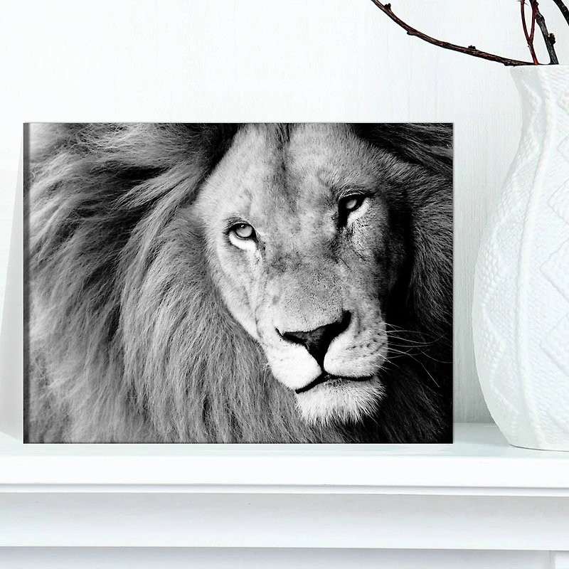 Designart - Lion Head in Grey