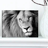 Designart - Lion Head in Grey