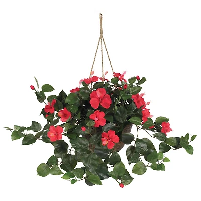 24" Red Hibiscus In Hanging Basket