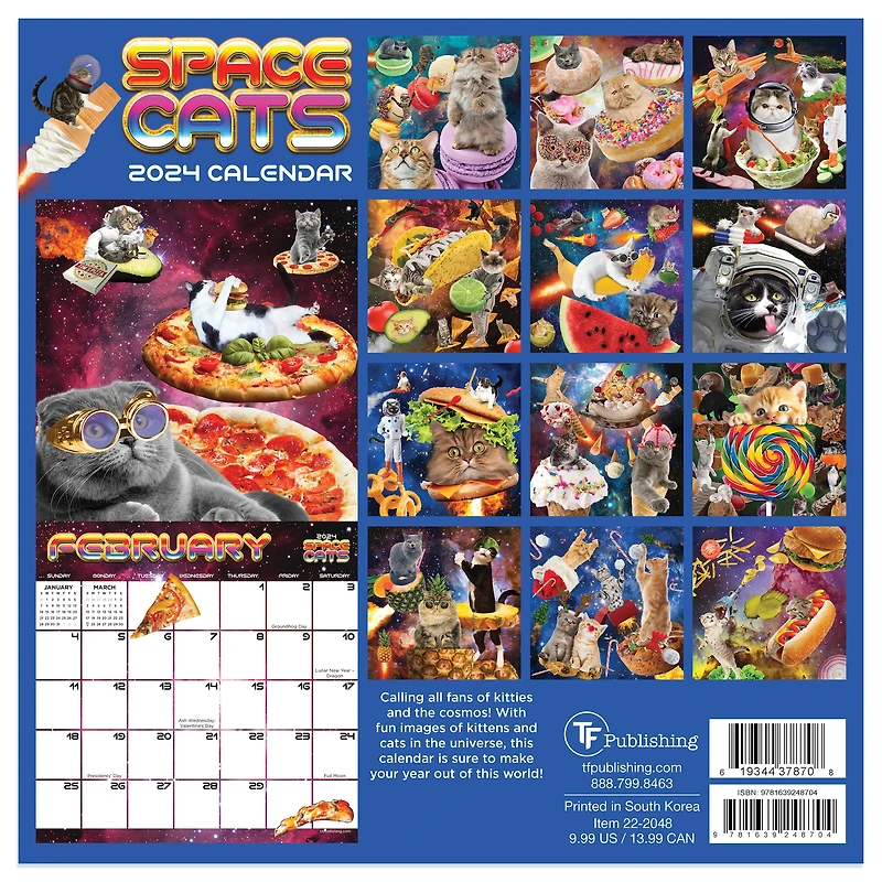 TF Publishing Space Cats Mini Calendar