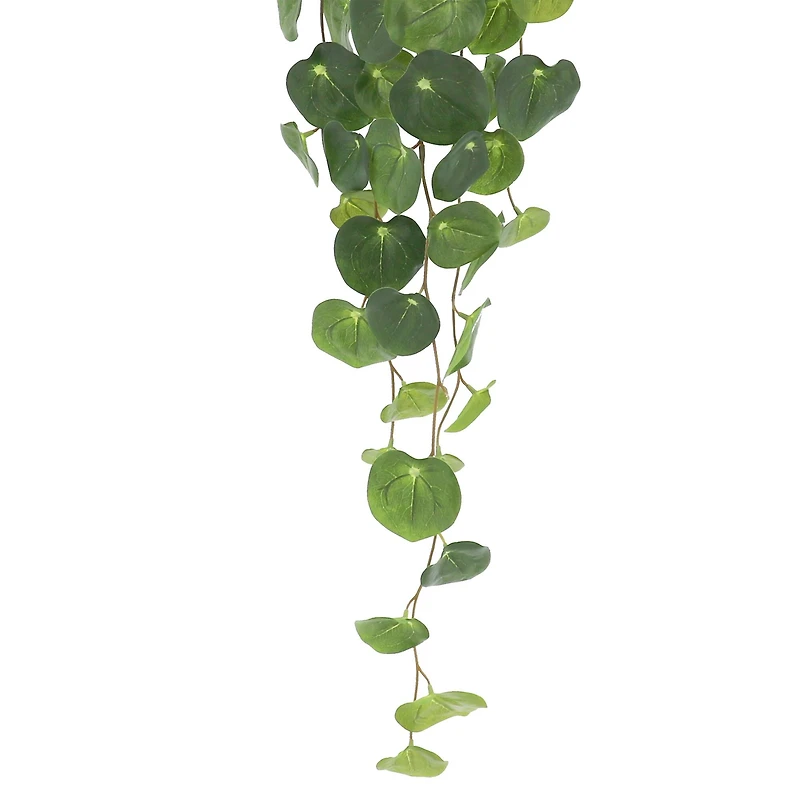 32" Green Dripping Peperomia Plant in Pot by Ashland®