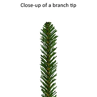 6.5ft. Pre-Lit Mountain View Spruce Artificial Christmas Tree, Clear LED Lights