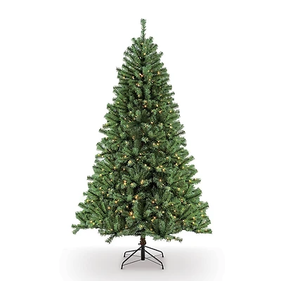 6.5ft. Pre-Lit Northern Fir Artificial Christmas Tree, Clear Lights