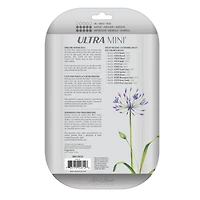 Silver Brush Limited Ultra Mini® White Miniature Detail Brushes, Set of 12