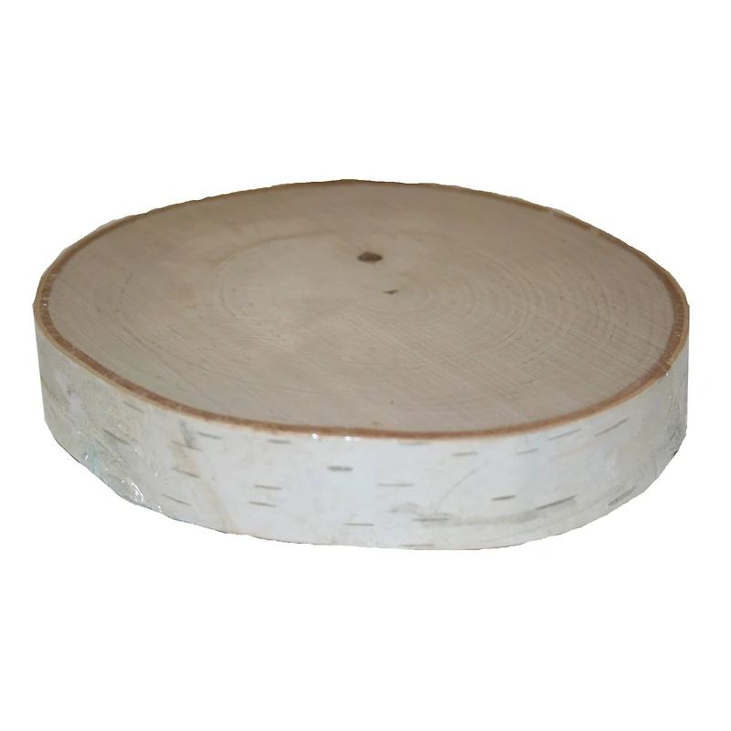 Wilson® Enterprises 11" Thick Birch Rounds, 4ct.