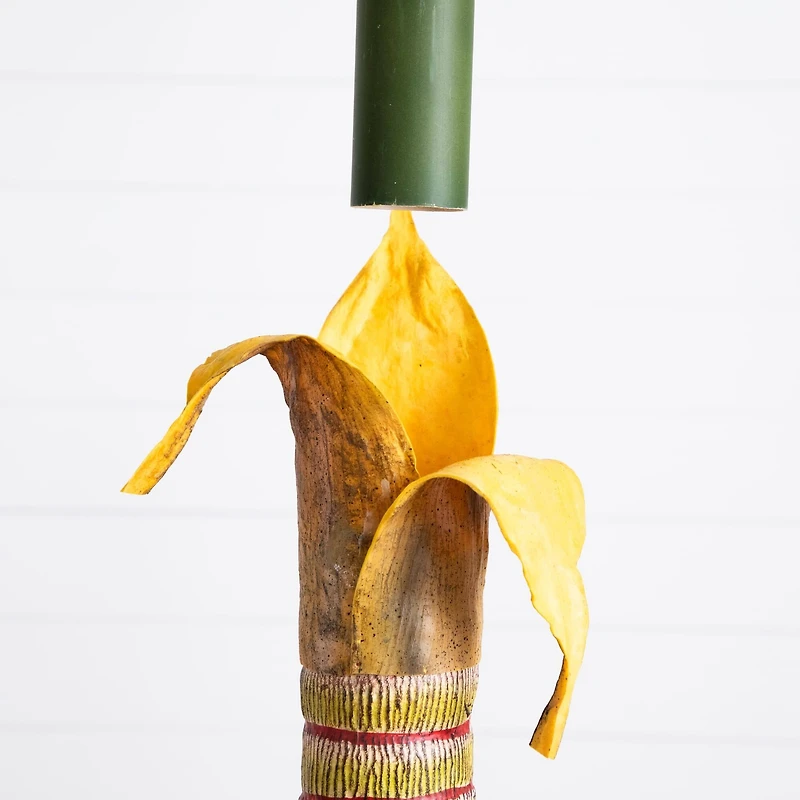 7ft. Potted Coconut Palm Tree