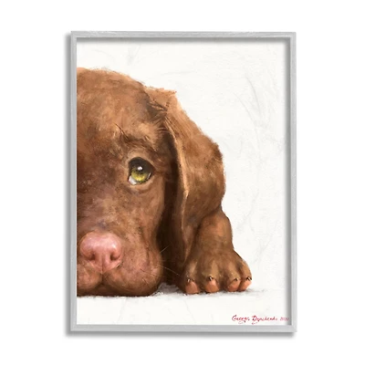 Stupell Industries Chocolate Labrador Puppy Resting Adorable Dog Portrait in Gray Frame Wall Art