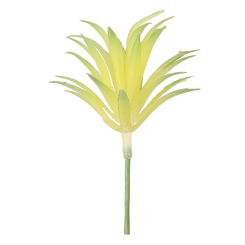 Succulent Mix by Ashland®