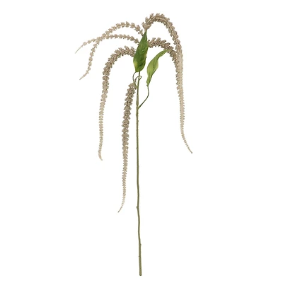 Gray Amaranthus Stem by Ashland®