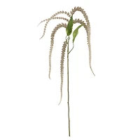 Gray Amaranthus Stem by Ashland®