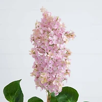 36" Pink Lilac Flower Stems, 3ct.