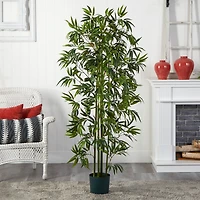 6ft. Potted Bamboo Silk Tree