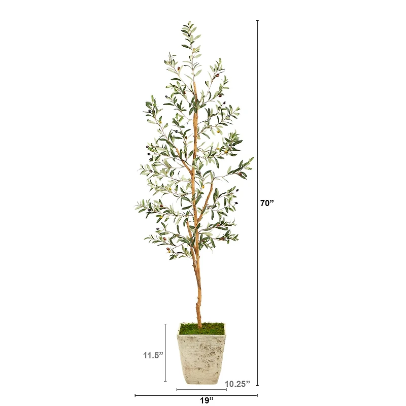 6ft. Olive Artificial Tree in Country White Planter