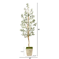 6ft. Olive Artificial Tree in Country White Planter