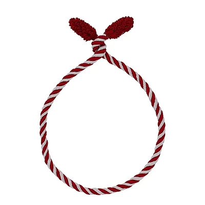 Haute Decor 20" Red & White Decorative Twist Ties, 6ct.