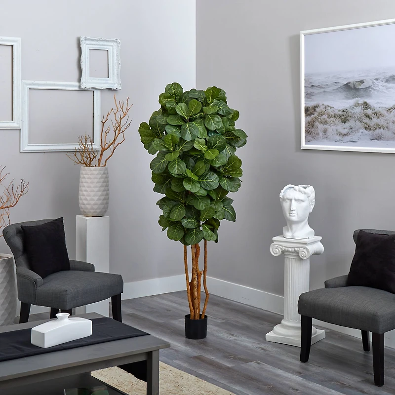 6ft. Potted Fiddle Leaf Fig Tree