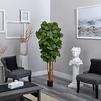 6ft. Potted Fiddle Leaf Fig Tree