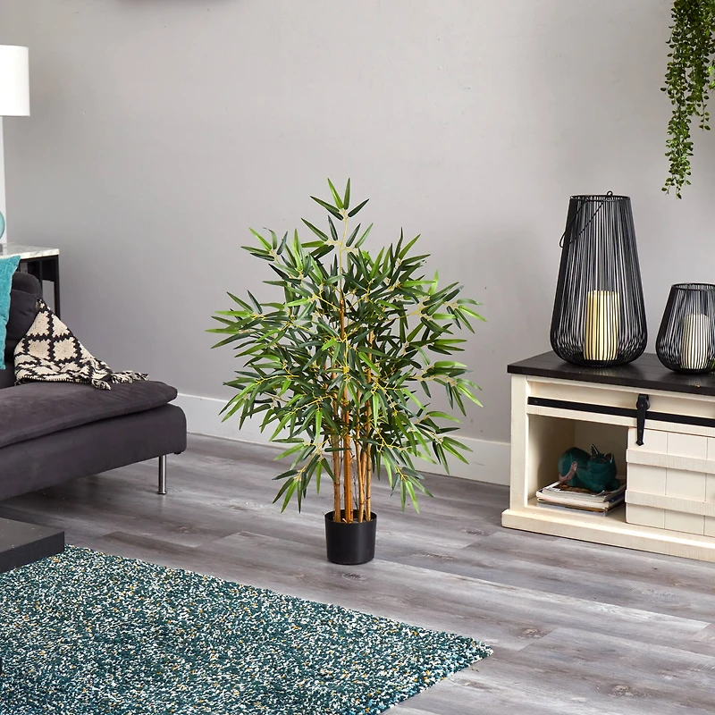 3ft. Potted Bambusa Bamboo Tree