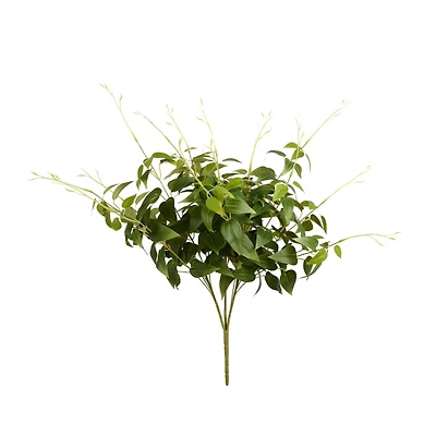 Green Clematis Spray, 3ct.