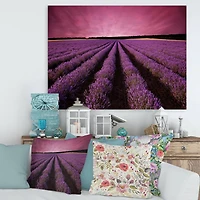 Designart - Sunrise & Dramatic Clouds Over Lavender Field XI