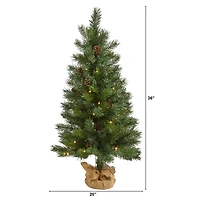 3ft. Pre-Lit Fraser Fir Natural Look Artificial Christmas Tree with Clear LED Light 