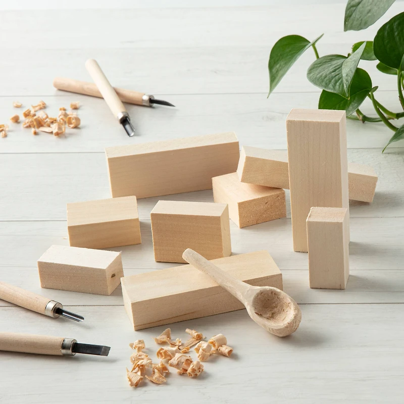 6 Pack: 10 Piece Basswood Whittler's Kit by Make Market®
