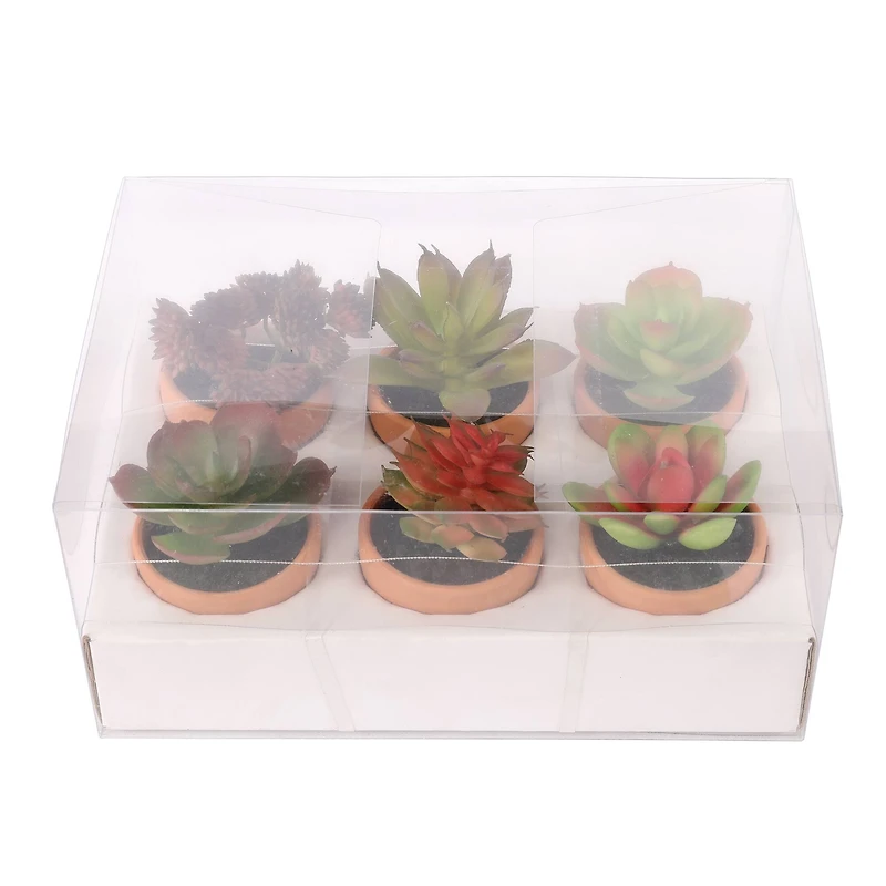 Mini Premade Succulents in Terra Cotta Pots