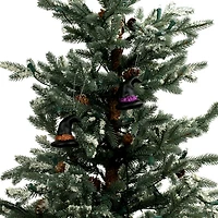 Witch Hat Ornaments, 3ct. by Ashland®