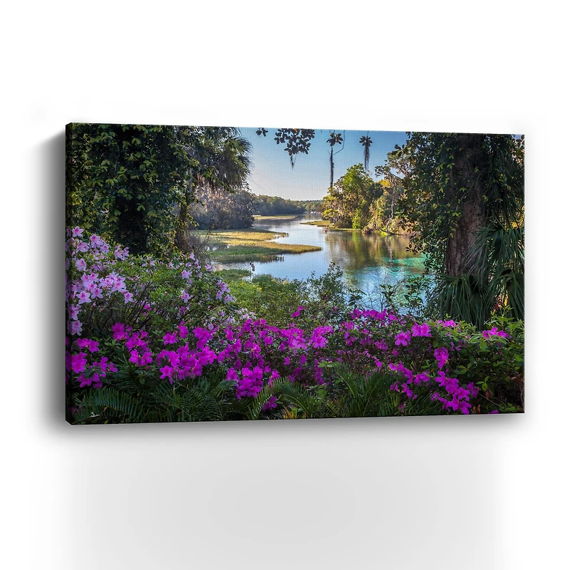 Rainbow Springs Canvas Giclee