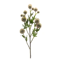 Sage Allium Spray, 6ct.