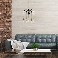 Hello Honey® Robert Stevenson Lighting Harper 19" Black and Brass 5-Light Exposed Bulb 2-Tone Metal Chandelier