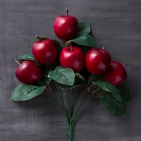 Red Apple Bush by Ashland®
